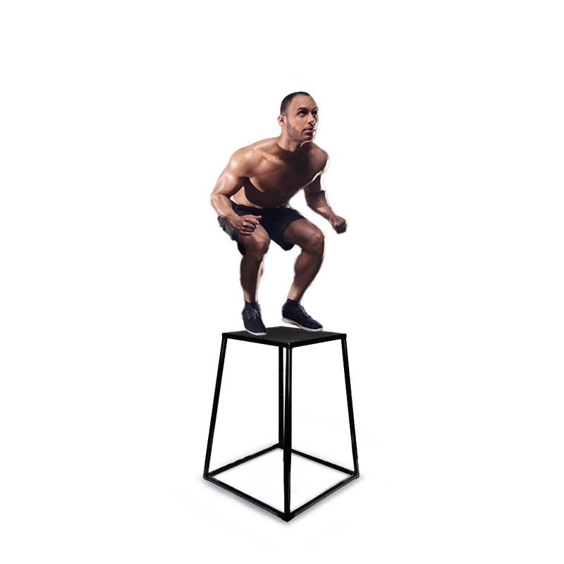 Element Fitness Steel Plyo Box Set CrossFit Gym