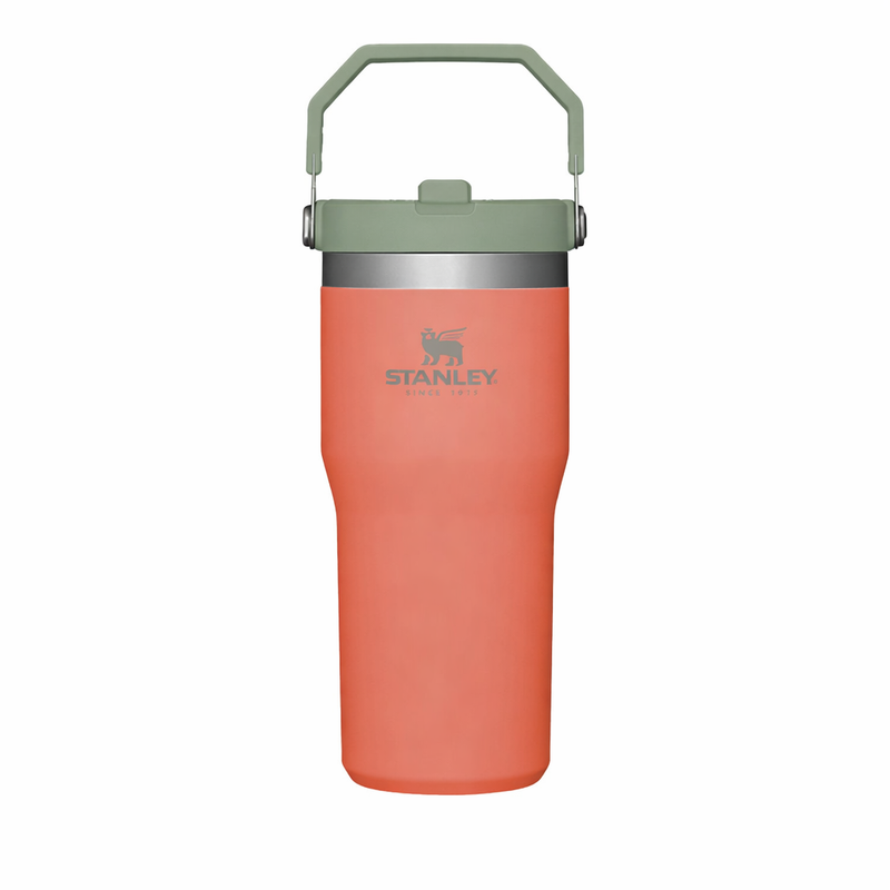 Stanley IceFlow™ Flip Straw Tumbler 20oz