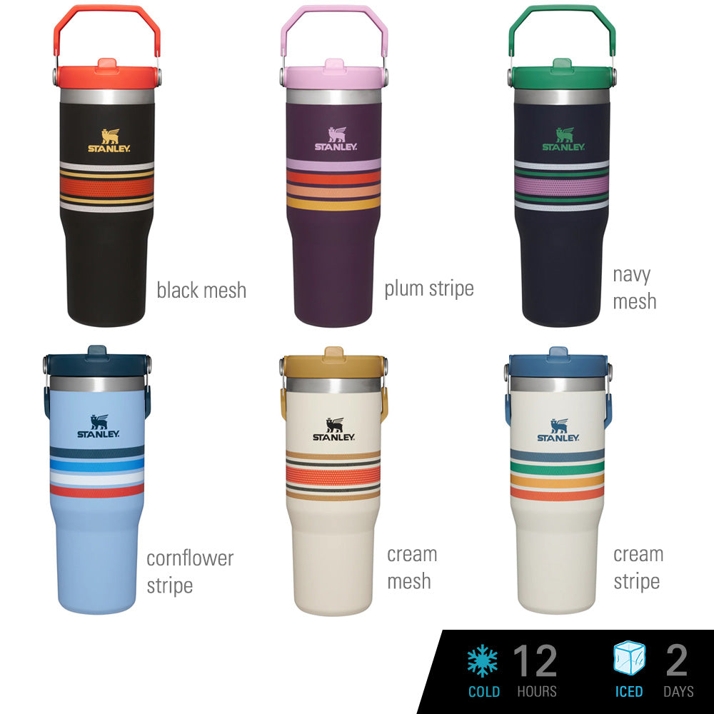 NHL® Cruiser Insulated Tumbler with Flip Lid and Straw - 30oz in 2023