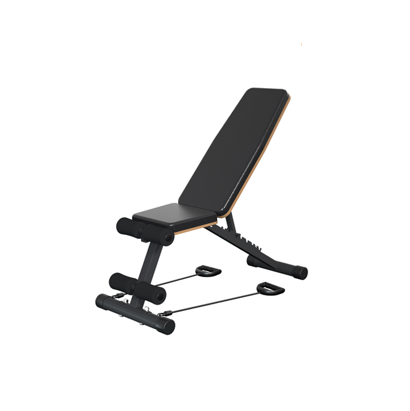 Trax Strength Dumbbell Gym Bench 2.0 | Chrissports