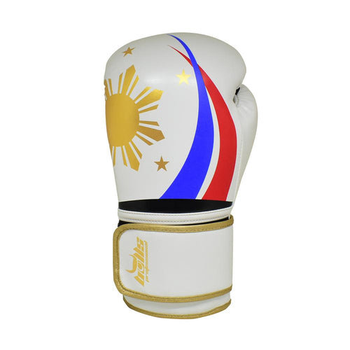 Bulls Professional Classic Boxing Gloves - PH Philippines Design
