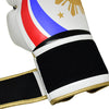 Bulls Professional Classic Boxing Gloves - PH Philippines Design