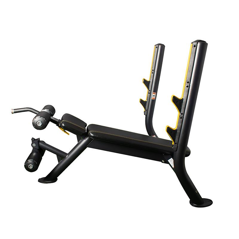 Element Fitness Olympic Decline Gym Bench
