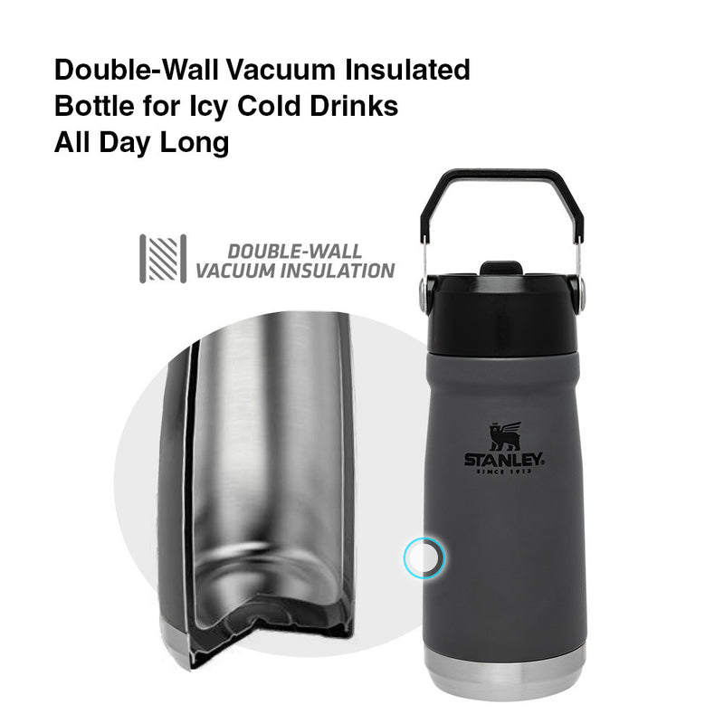 Dreamwills Stainless Steel Insulated Filtered Water Bottle, Keep Ice/C