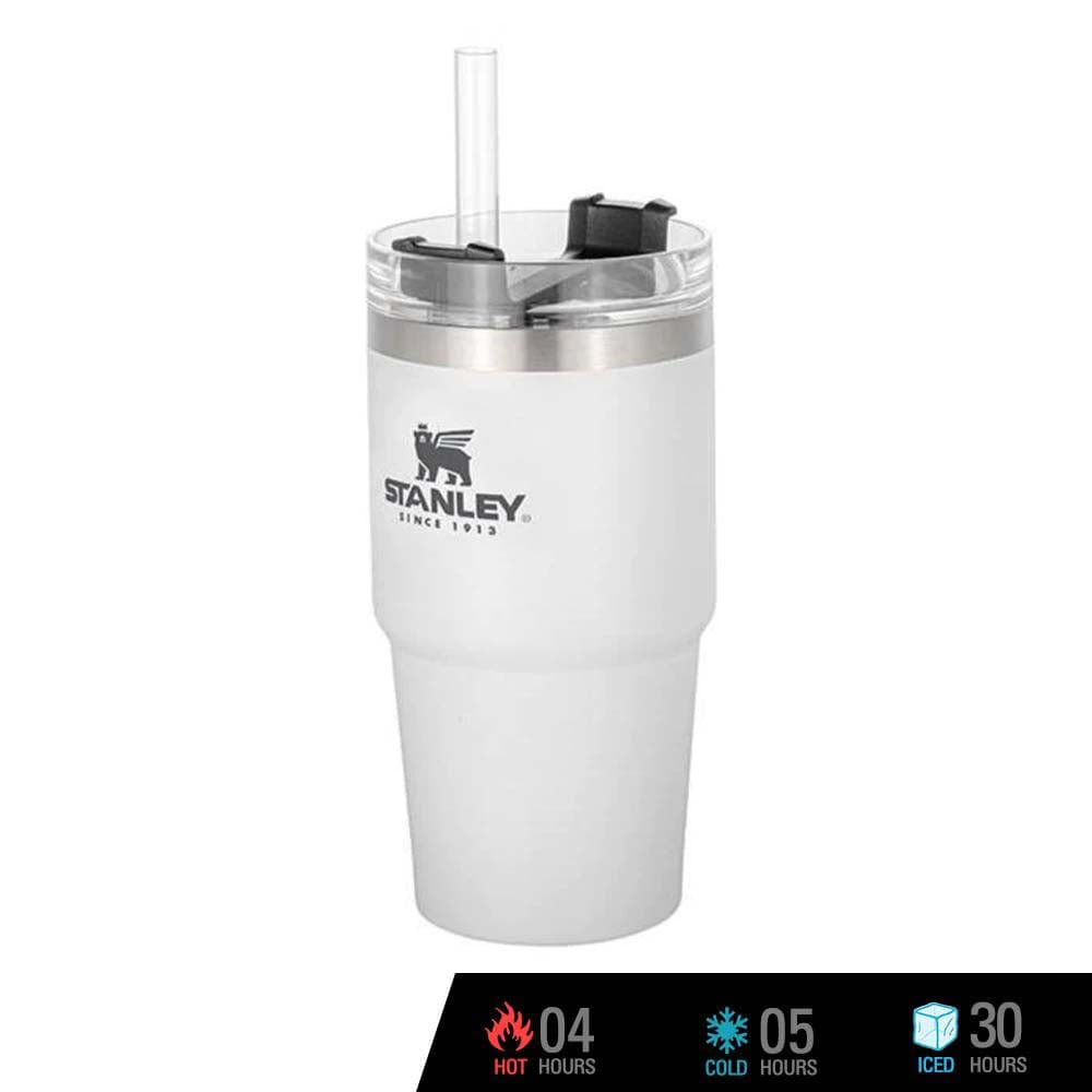 Stanley Adventure Quencher Travel Tumbler for Kids (8 and Above